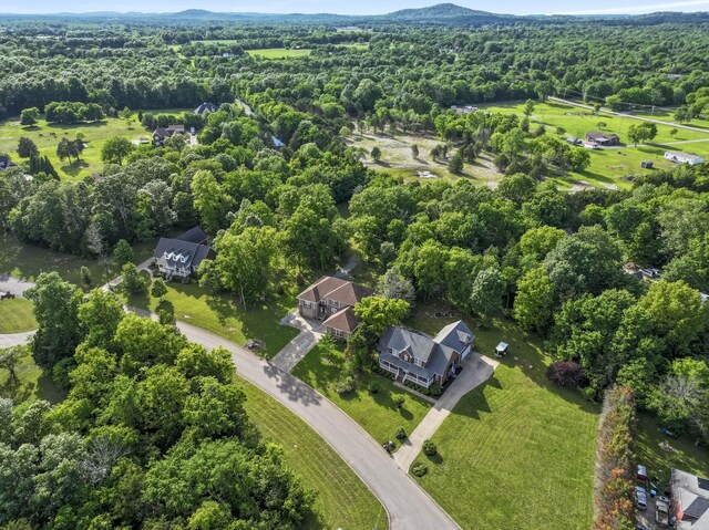 1116 Friendswood Ln, Christiana, TN 37037 - photo 41