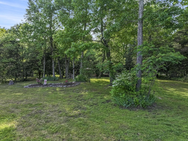 1116 Friendswood Ln, Christiana, TN 37037 - photo 34