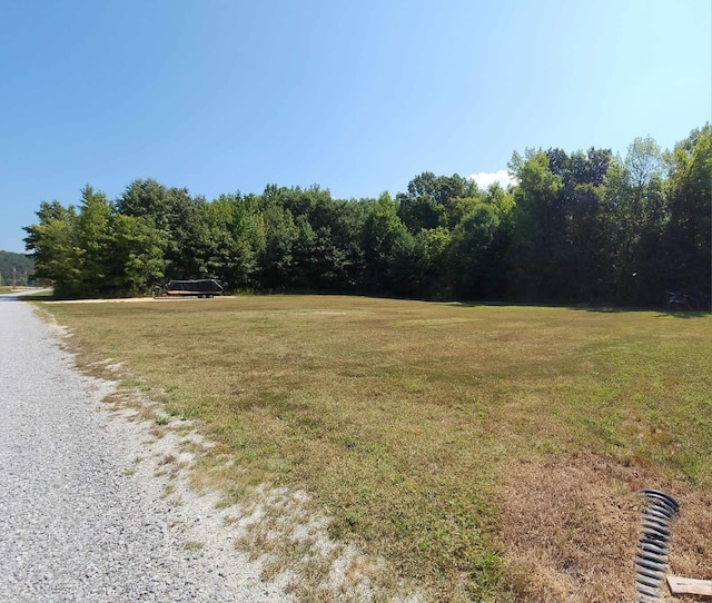 1262 S Riverfront Dr, Clifton, TN 38425