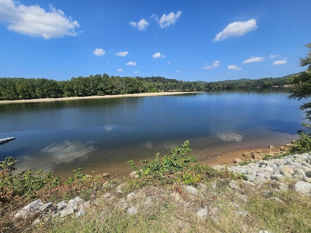 1262 S Riverfront Dr, Clifton, TN 38425