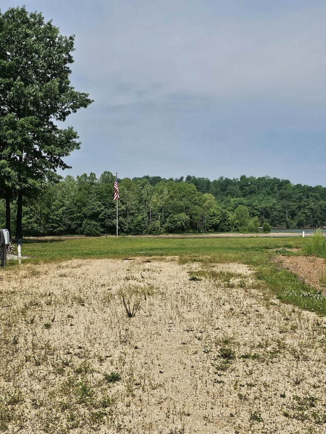 1262 S Riverfront Dr, Clifton, TN 38425