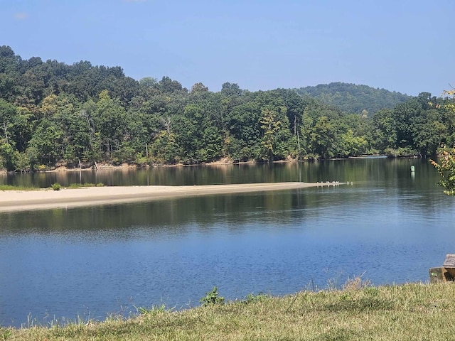 1262 S Riverfront Dr, Clifton, TN 38425