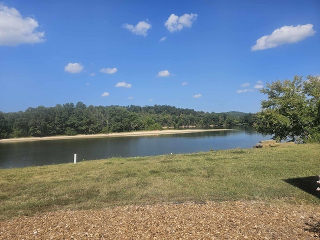 1262 S Riverfront Dr, Clifton, TN 38425