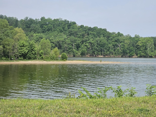 1262 S Riverfront Dr, Clifton, TN 38425