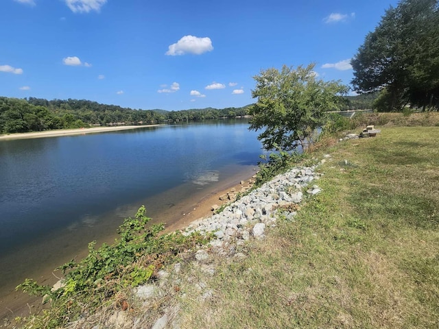 1262 S Riverfront Dr, Clifton, TN 38425