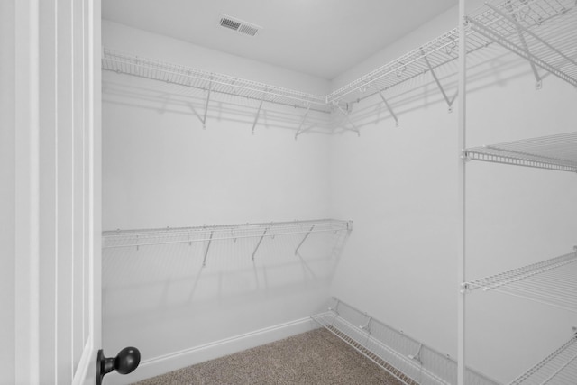 1 Shelton Ferry Rd, Southside, TN 37171 - walk in closet with carpet floors