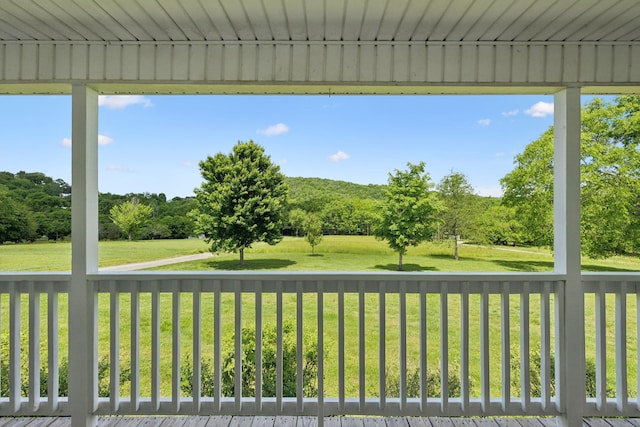view of grassy yard featuring view of wooded area