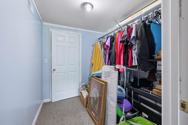walk in closet featuring carpet