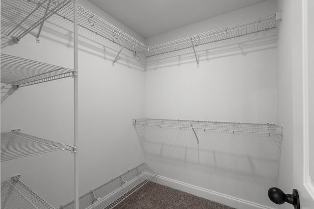 2214 S Hinton Rd, Southside, TN 37171 - walk in closet with carpet flooring