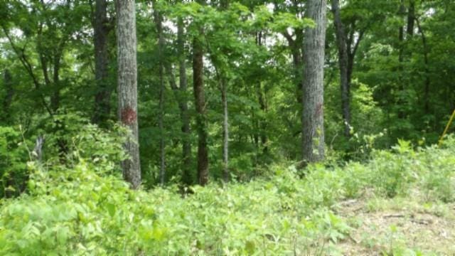 0 Rock Springs Rd, Celina, TN 38551