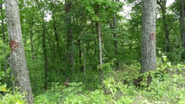 0 Rock Springs Rd, Celina, TN 38551