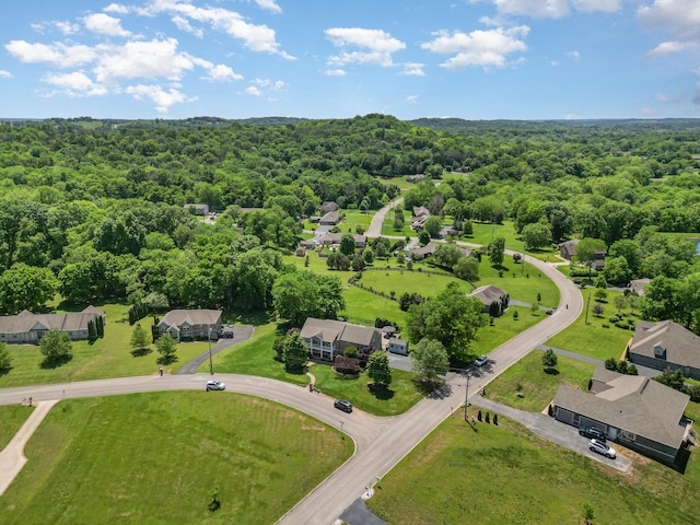 500 Mark Green Ct, Spring Hill, TN 37174 - drone / aerial view of a forest