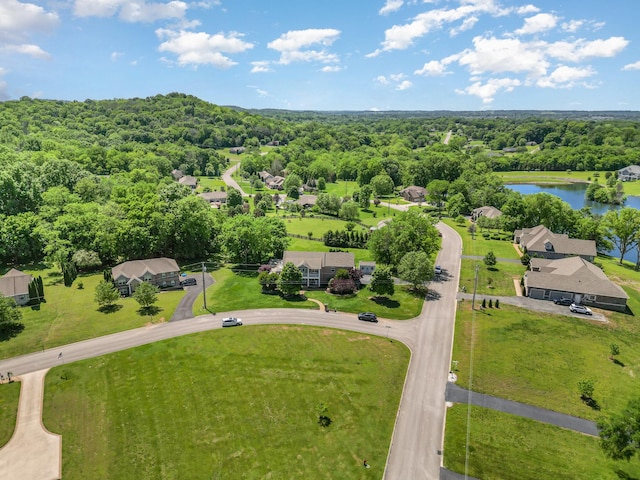 500 Mark Green Ct, Spring Hill, TN 37174 - bird's eye view of a large body of water and a heavily wooded area