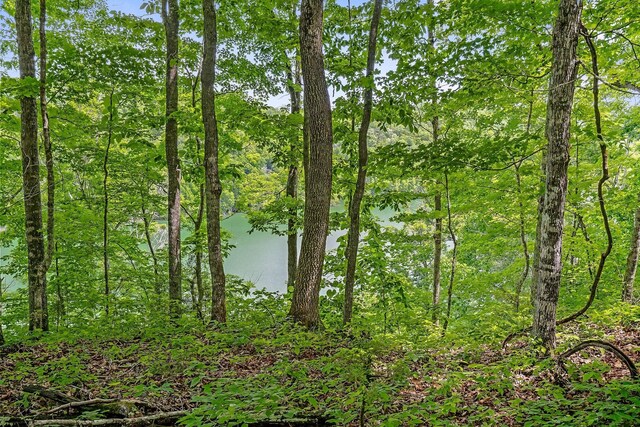 7I Potts Camp Rd, Smithville, TN 37166 - photo 24