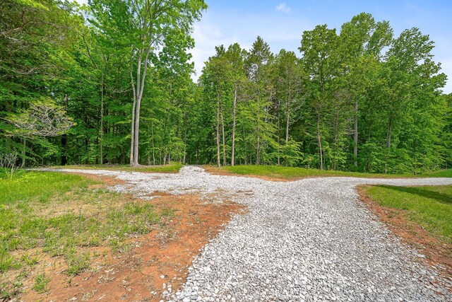 7I Potts Camp Rd, Smithville, TN 37166 - photo 22