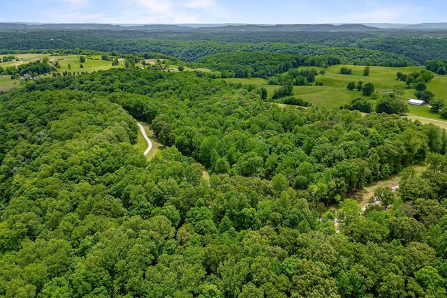 7I Potts Camp Rd, Smithville, TN 37166 - photo 18