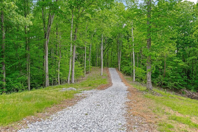 7G Potts Camp Rd, Smithville, TN 37166