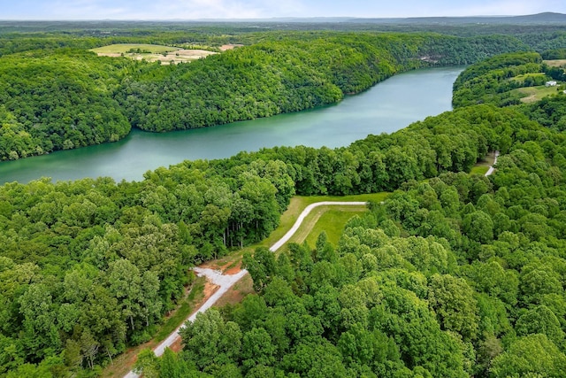 7F Potts Camp Rd, Smithville, TN 37166