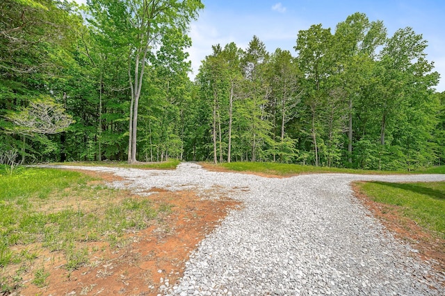 7F Potts Camp Rd, Smithville, TN 37166