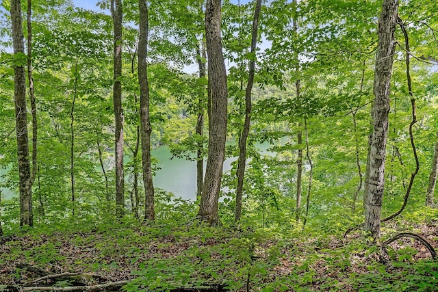 7F Potts Camp Rd, Smithville, TN 37166