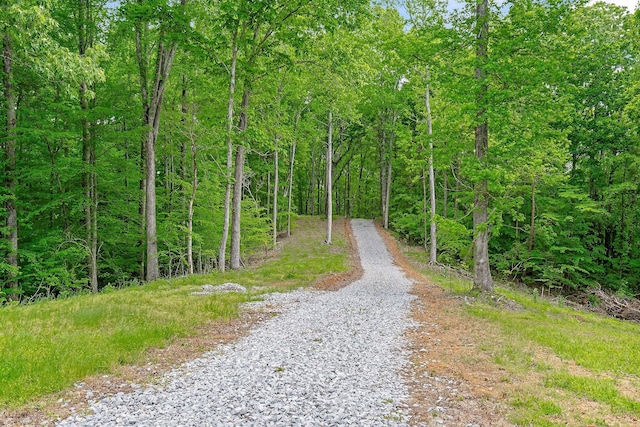 7F Potts Camp Rd, Smithville, TN 37166