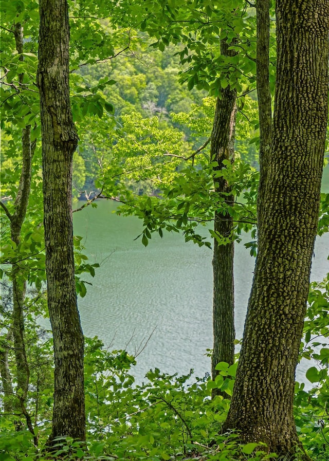 7F Potts Camp Rd, Smithville, TN 37166