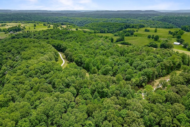 7E Potts Camp Rd, Smithville, TN 37166