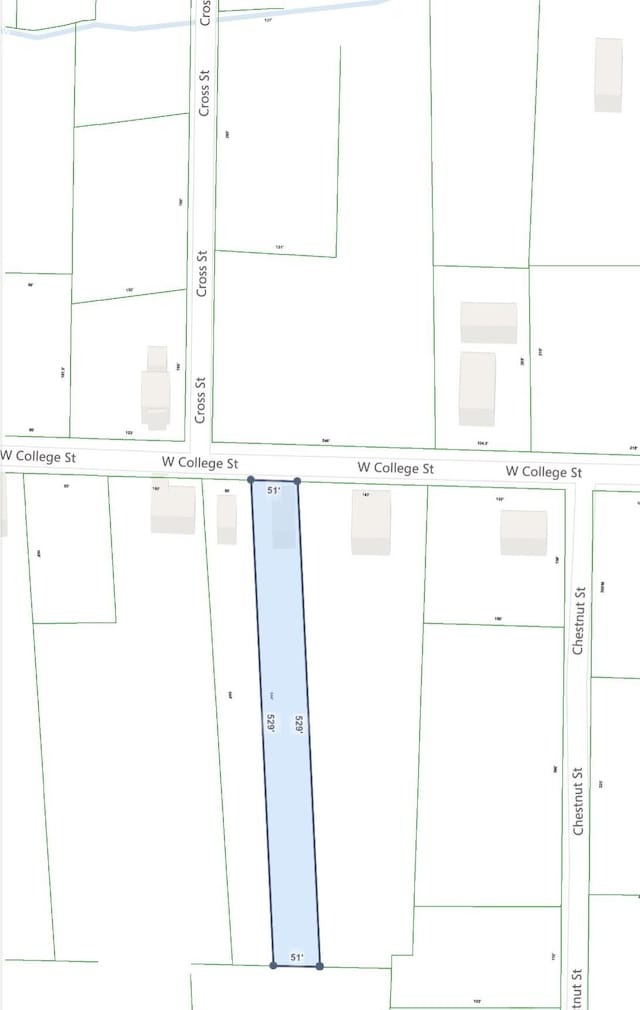 215 W College St, Bradford, TN 38316 - map of parcels