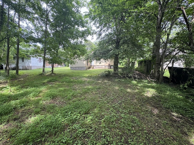 226 Highland St, Ripley, TN 38063 - view of yard