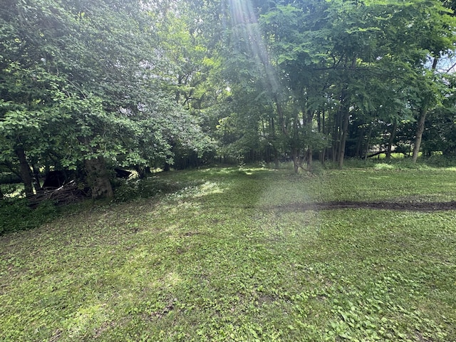 226 Highland St, Ripley, TN 38063 - view of yard