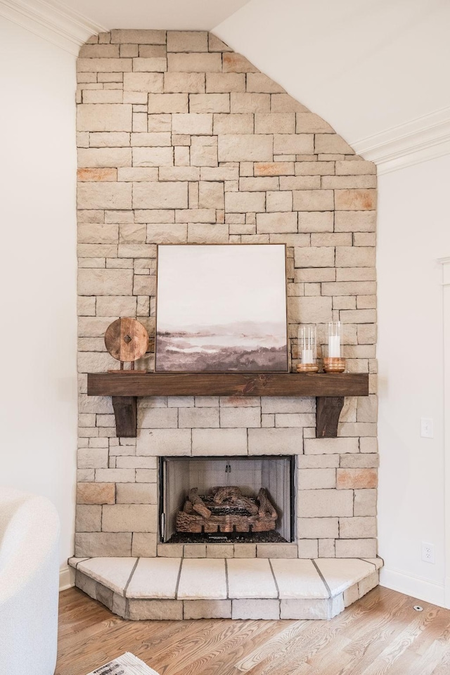 1219 Ben Forkum Dr, Lebanon, TN 37087 - detailed view of a stone fireplace, crown molding, wood finished floors, and baseboards