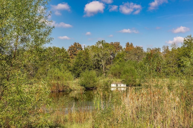 1219 Ben Forkum Dr, Lebanon, TN 37087 - view of woods