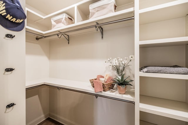 1219 Ben Forkum Dr, Lebanon, TN 37087 - spacious closet featuring wood finished floors