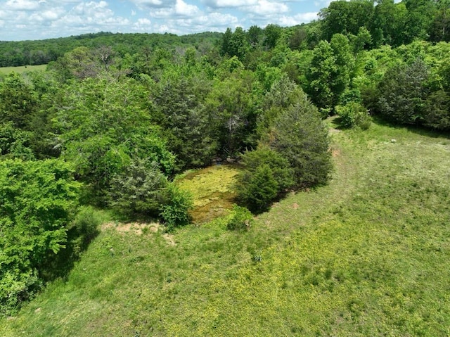 0 Moore Hollow Rd, Prospect, TN 38477