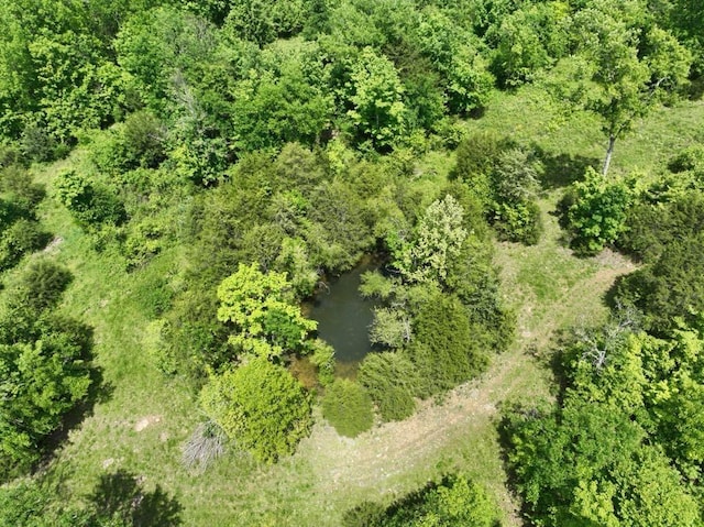 0 Moore Hollow Rd, Prospect, TN 38477