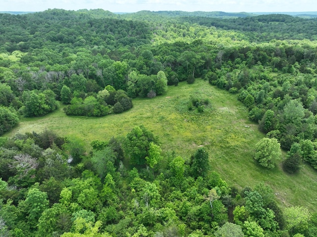 0 Moore Hollow Rd, Prospect, TN 38477