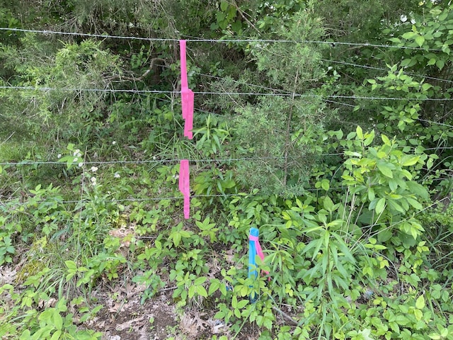 0 Moore Hollow Rd, Prospect, TN 38477