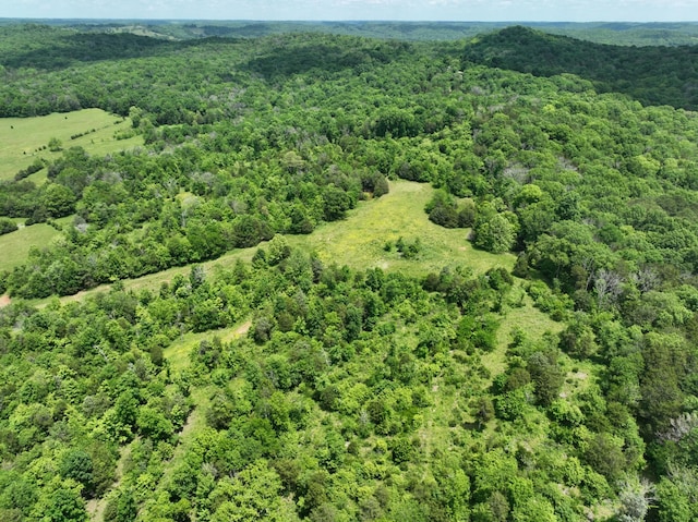 0 Moore Hollow Rd, Prospect, TN 38477