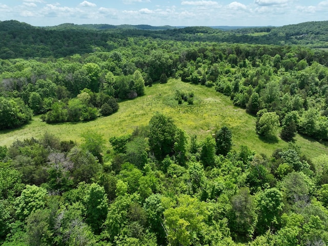 0 Moore Hollow Rd, Prospect, TN 38477