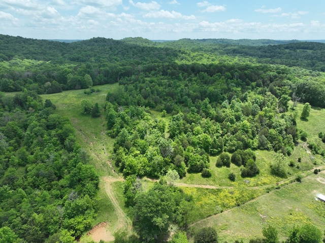 0 Moore Hollow Rd, Prospect, TN 38477