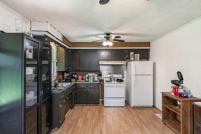 kitchen featuring white appliances, under cabinet range hood, ceiling fan, light wood finished floors, and a textured ceiling