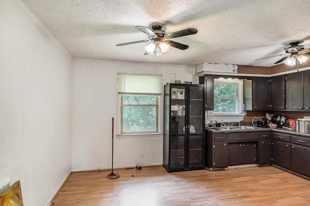 kitchen with ceiling fan, light wood-style floors, a textured ceiling, dark brown cabinets, and dark countertops