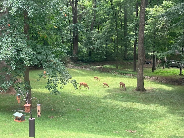 1420 E Rhett Butler Rd, Clarksville, TN 37042 - view of community featuring a yard