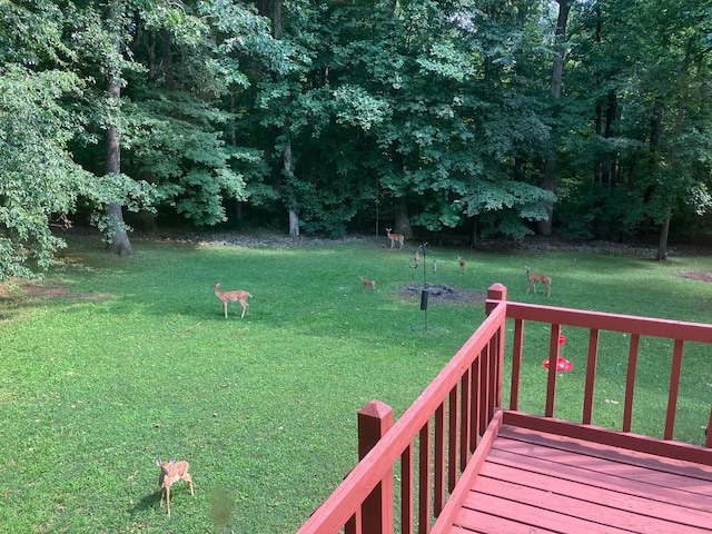 1420 E Rhett Butler Rd, Clarksville, TN 37042 - view of grassy yard
