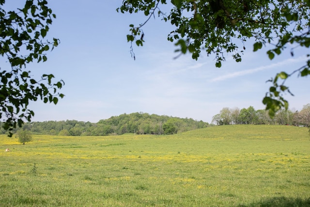 4824 Leipers Creek Rd, Williamsport, TN 38487 - view of tree filled area with a rural view