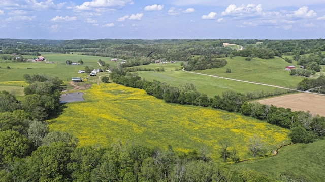 4824 Leipers Creek Rd, Williamsport, TN 38487 - overview of rural landscape