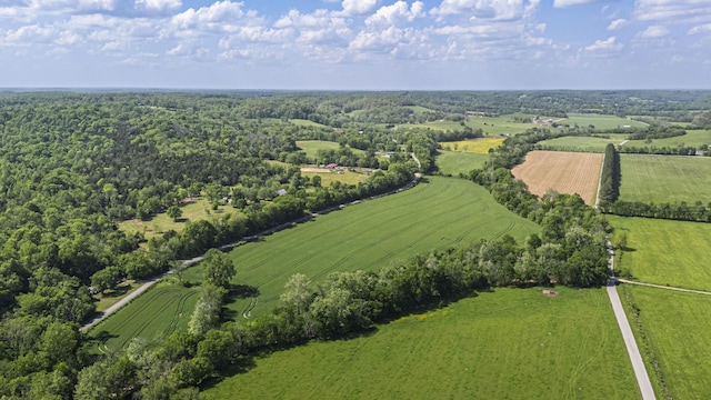 4824 Leipers Creek Rd, Williamsport, TN 38487 - view of rural area