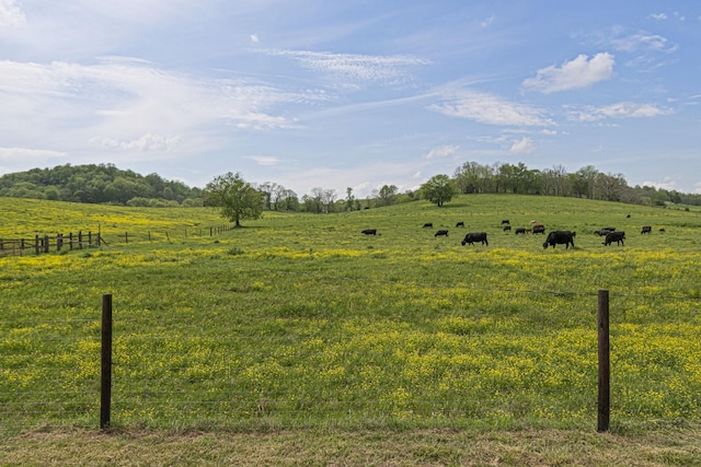 4824 Leipers Creek Rd, Williamsport, TN 38487 - view of yard featuring a view of rural / pastoral area and fence