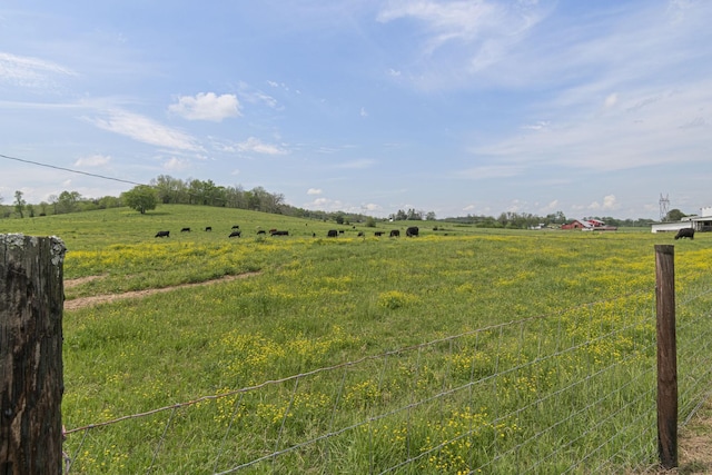 4824 Leipers Creek Rd, Williamsport, TN 38487 - view of yard with a rural view