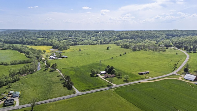 4824 Leipers Creek Rd, Williamsport, TN 38487 - aerial view of sparsely populated area